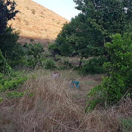 فيلا Κυθνος Δρυοπίδα, Στούντιο Χατζής Dhriopís المظهر الخارجي الصورة