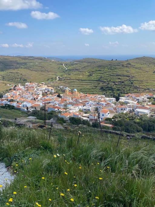 فيلا Κυθνος Δρυοπίδα, Στούντιο Χατζής Dhriopís المظهر الخارجي الصورة