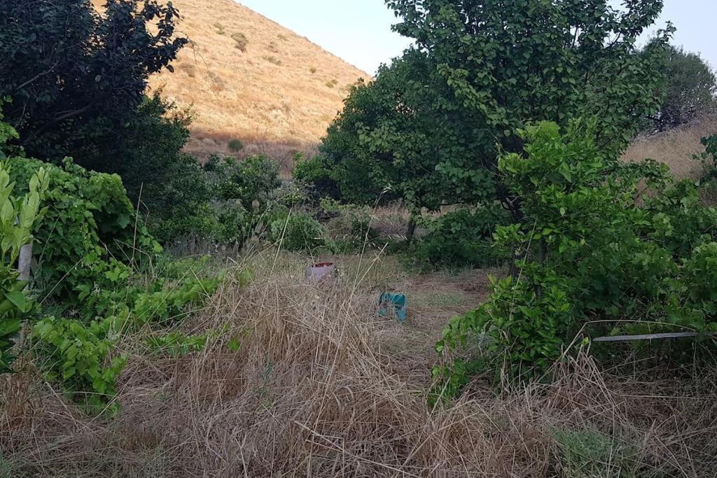 فيلا Κυθνος Δρυοπίδα, Στούντιο Χατζής Dhriopís المظهر الخارجي الصورة